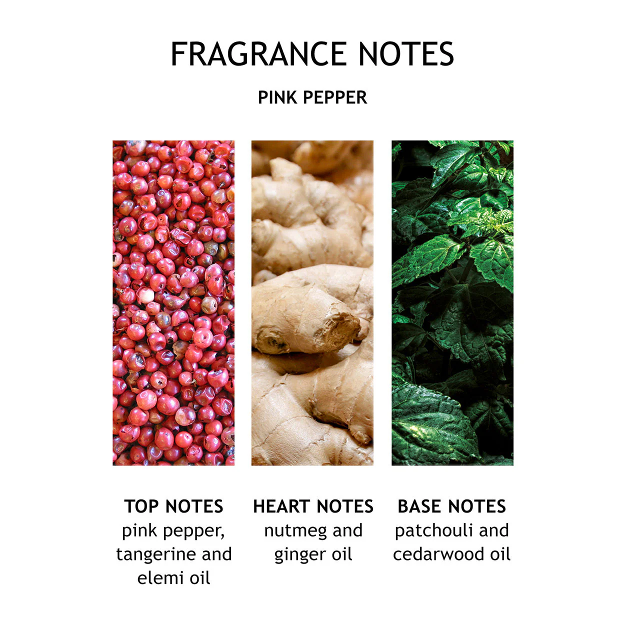 Fiery Pink Pepper Fine Liquid Hand Wash - Image 4