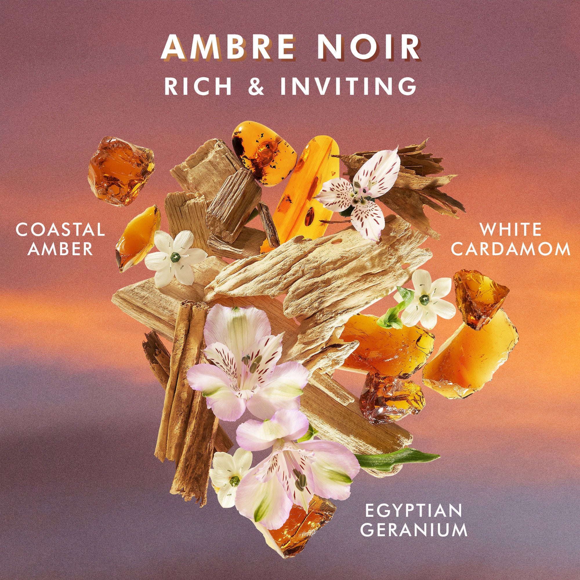 Hand Cream Ambre Noir - Image 4