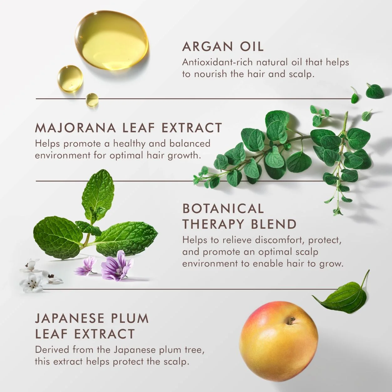Revitalizing Scalp Tonic - Image 3