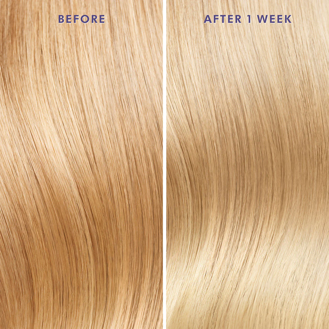 Moroccanoil Treatment Purple - Image 2