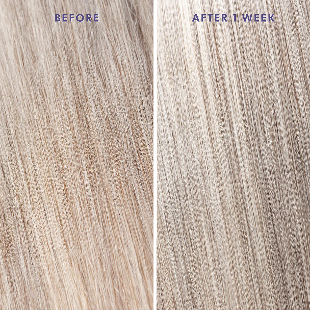 Moroccanoil Treatment Purple - Image 3