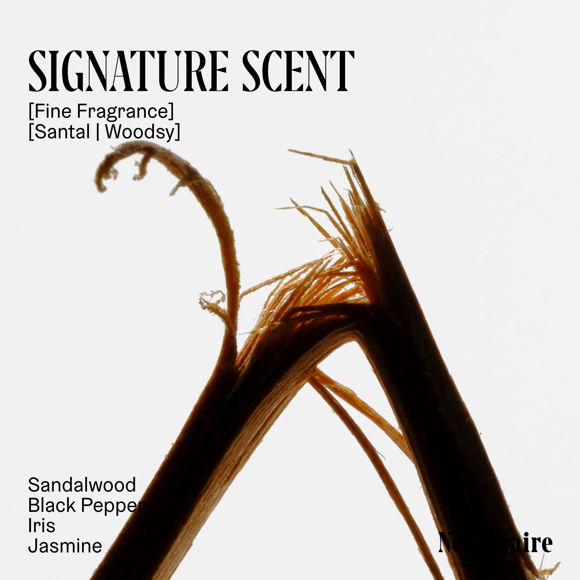 The Body Essentials Santal - Image 2