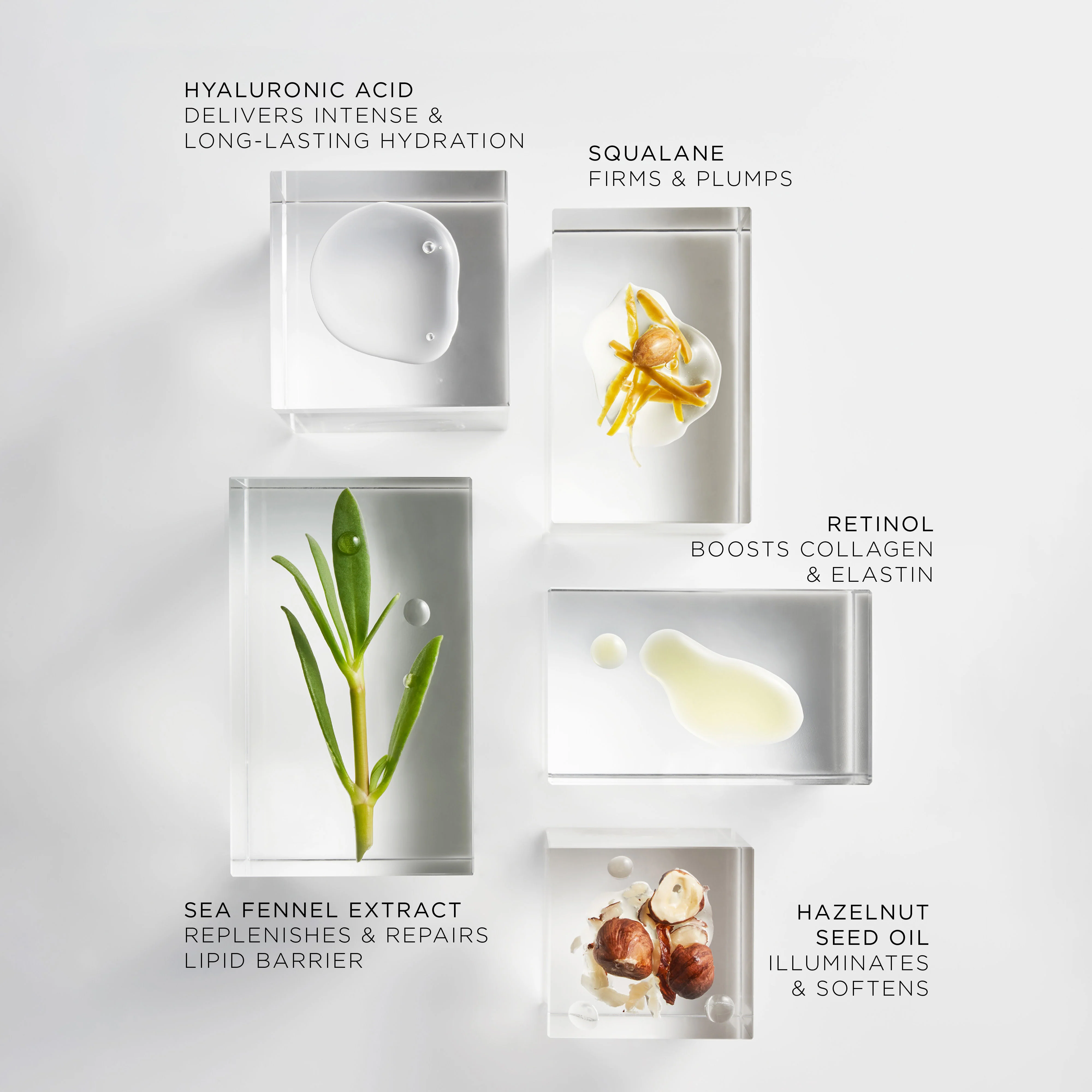The Absolute Nourishing Lift Oil - Image 7