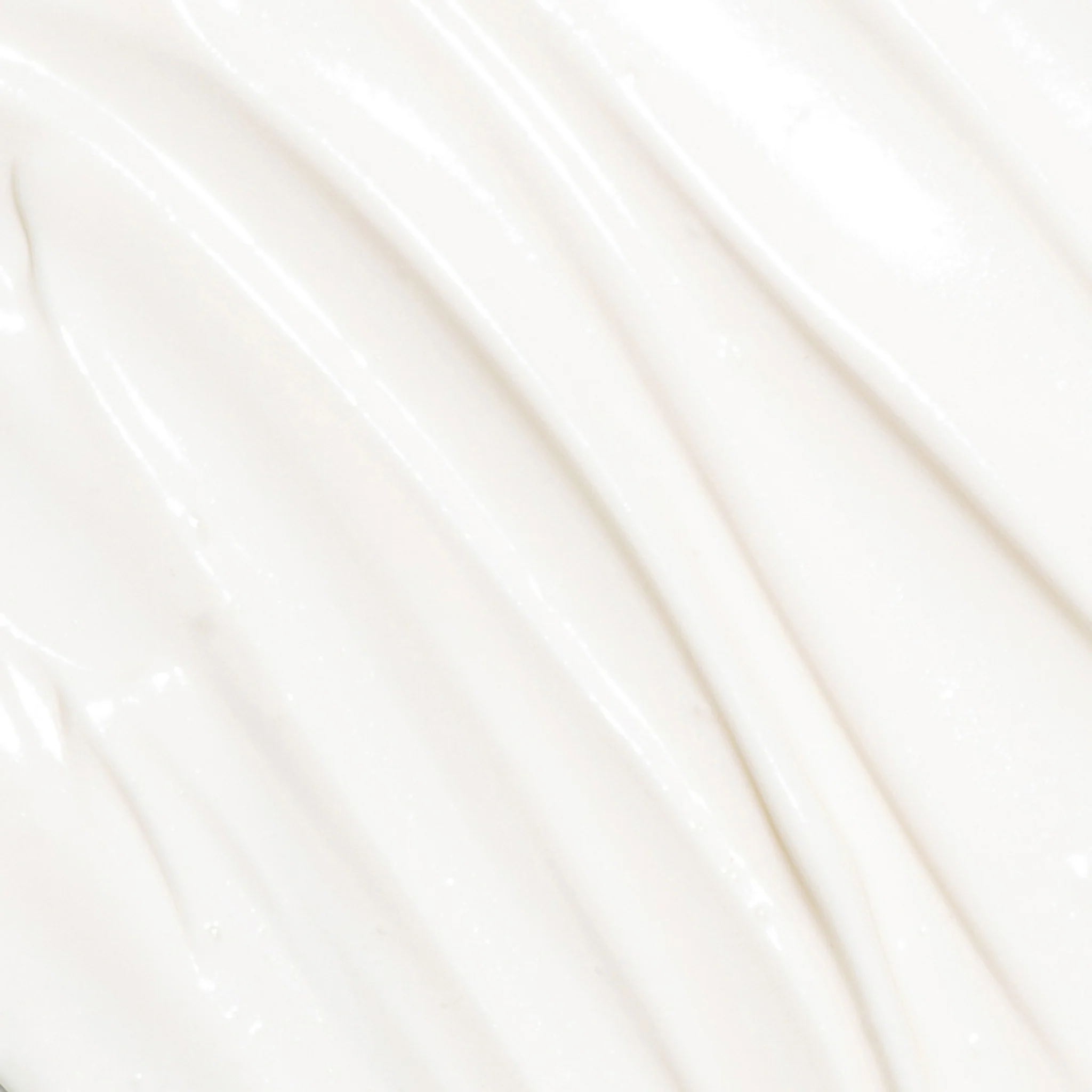 Activated Botanical Primer - Image 2