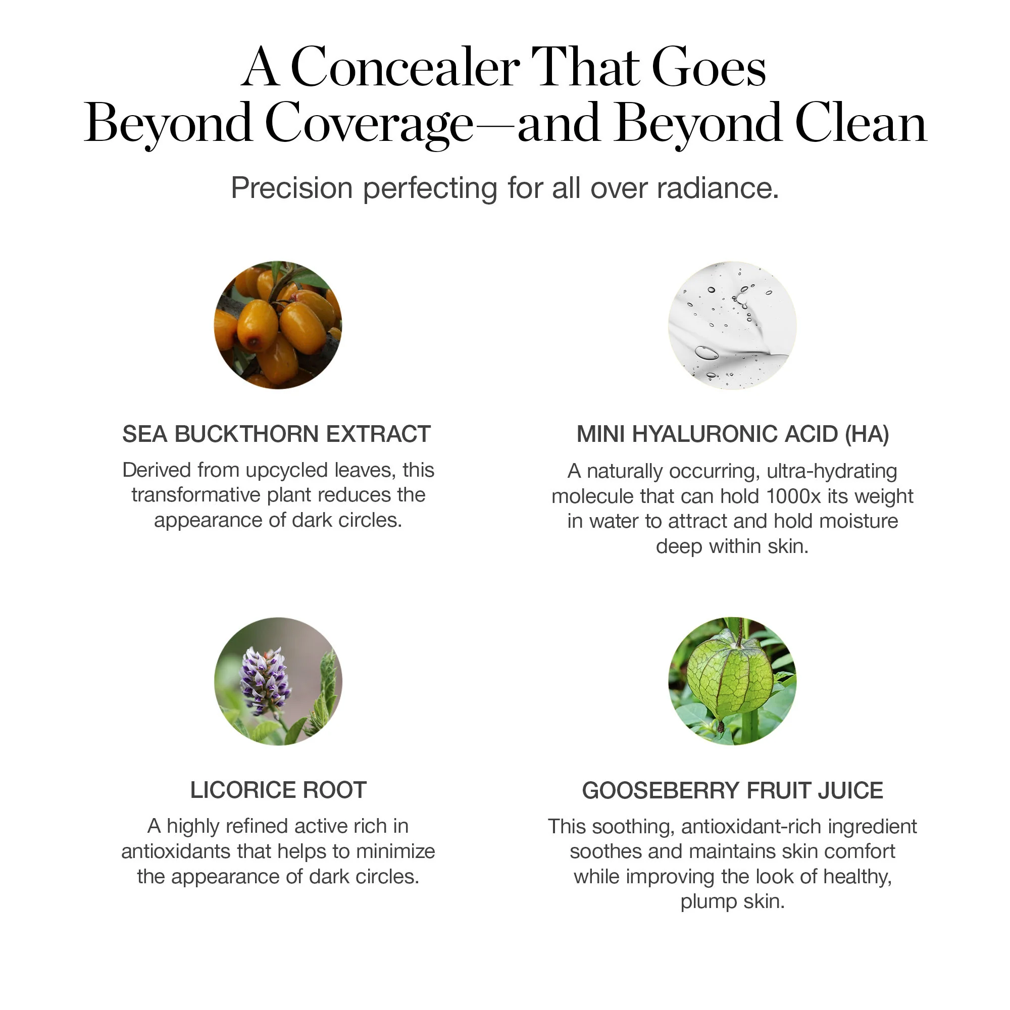Complexion Perfecting Concealer - Image 8