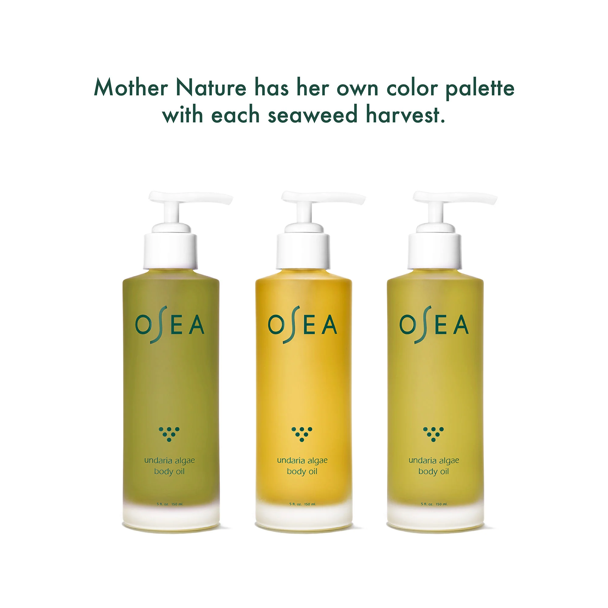 Undaria Algae Body Oil - Image 11
