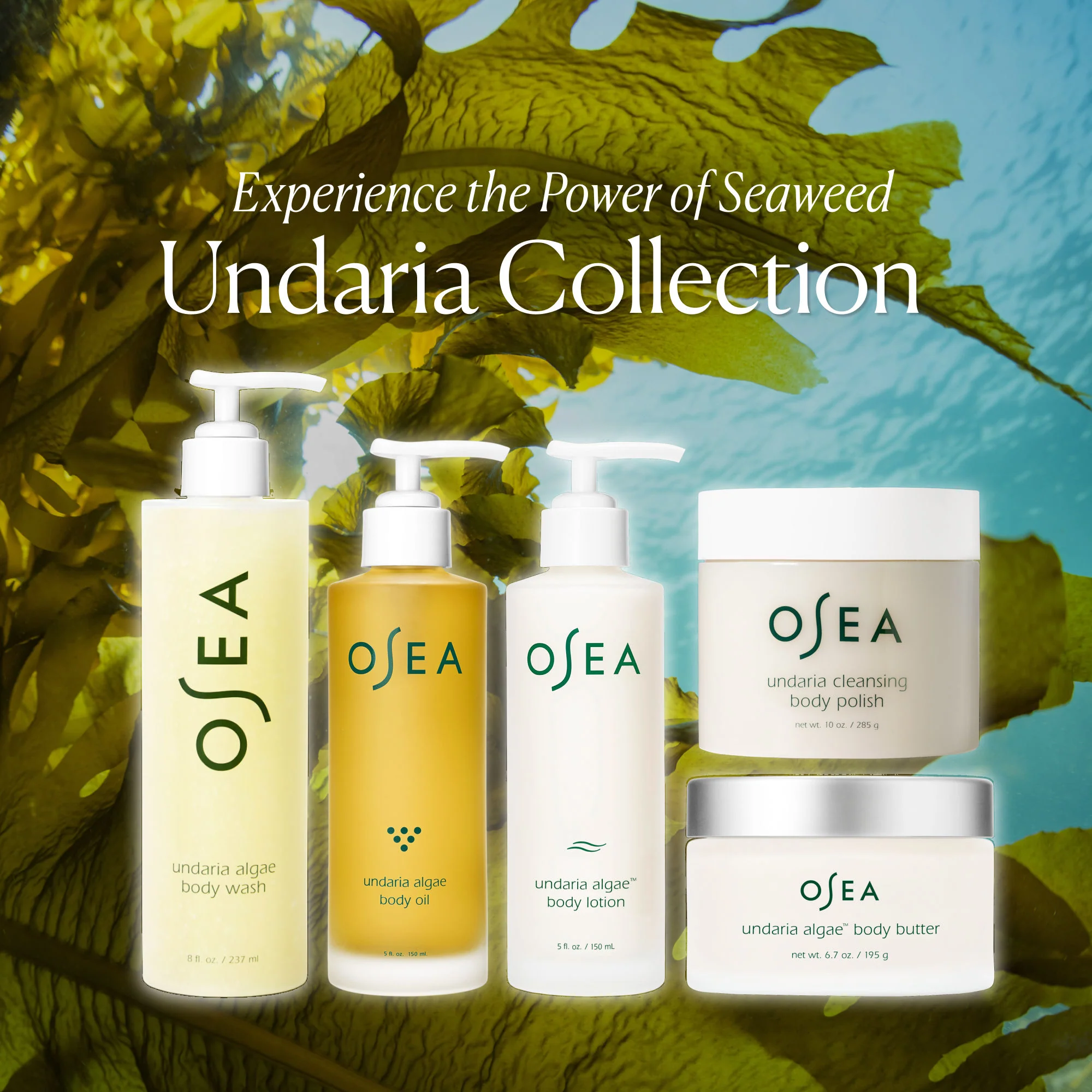 Undaria Algae Body Butter - Image 20