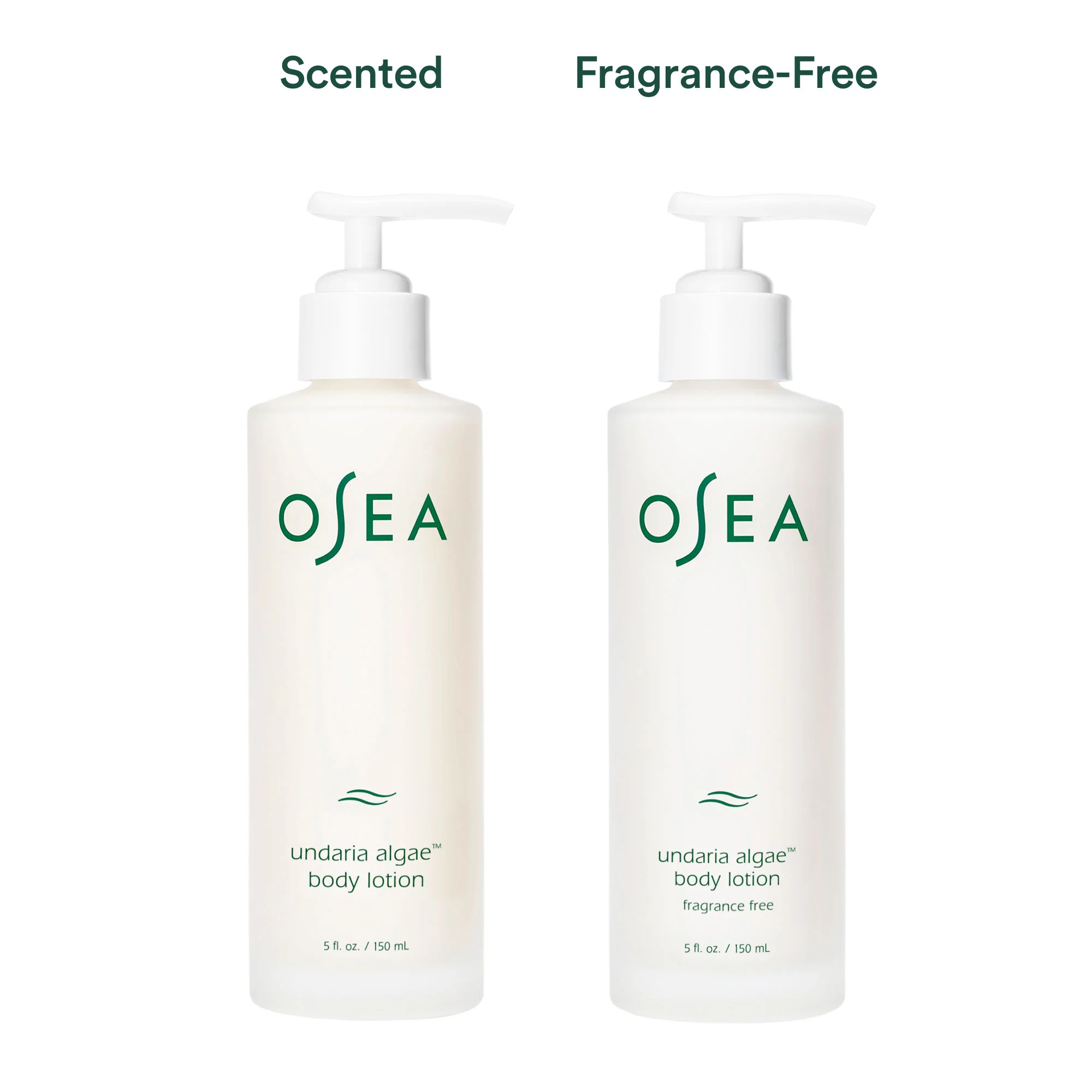 Undaria Algae Body Lotion - Image 9