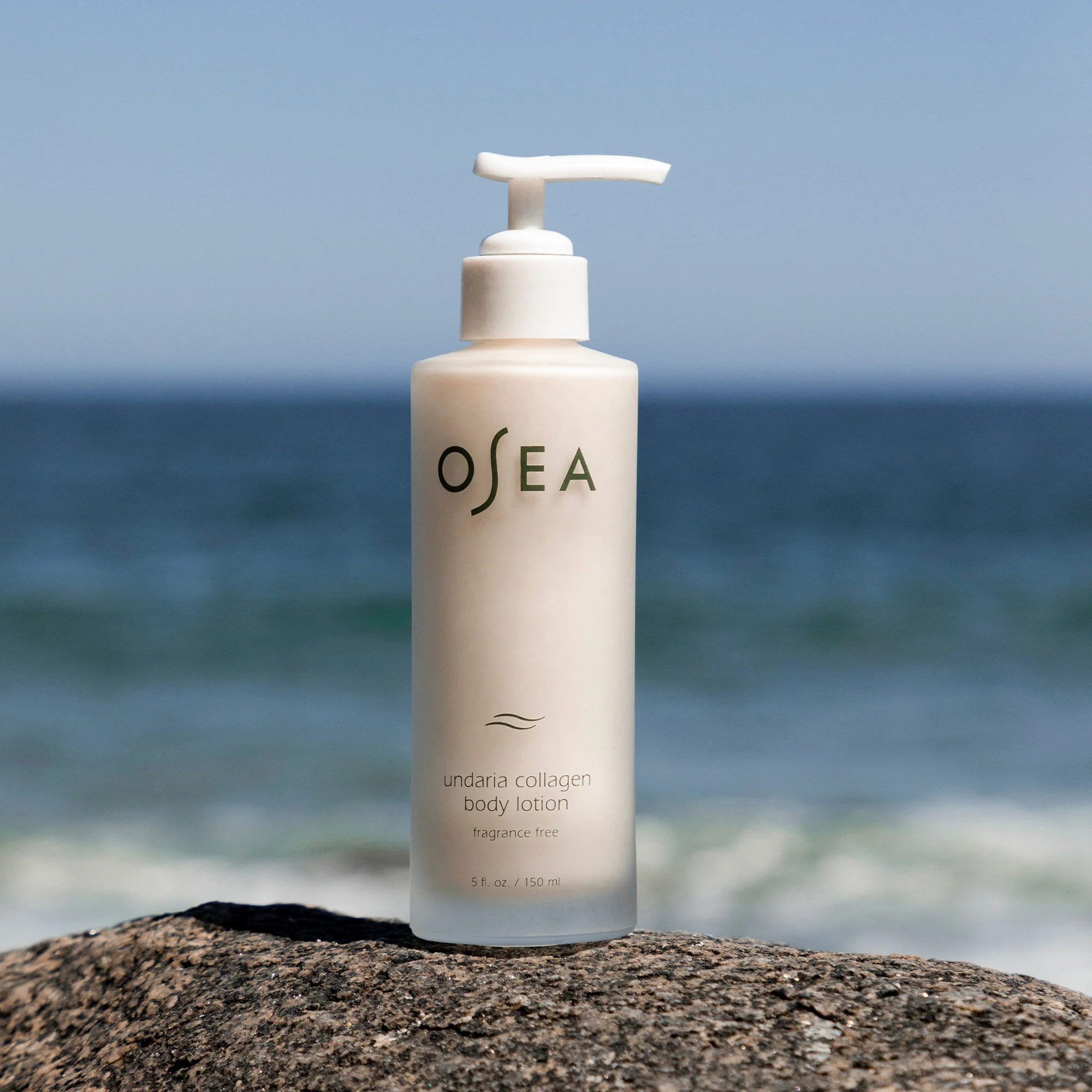 Undaria Algae Body Lotion Fragrance Free - Image 3