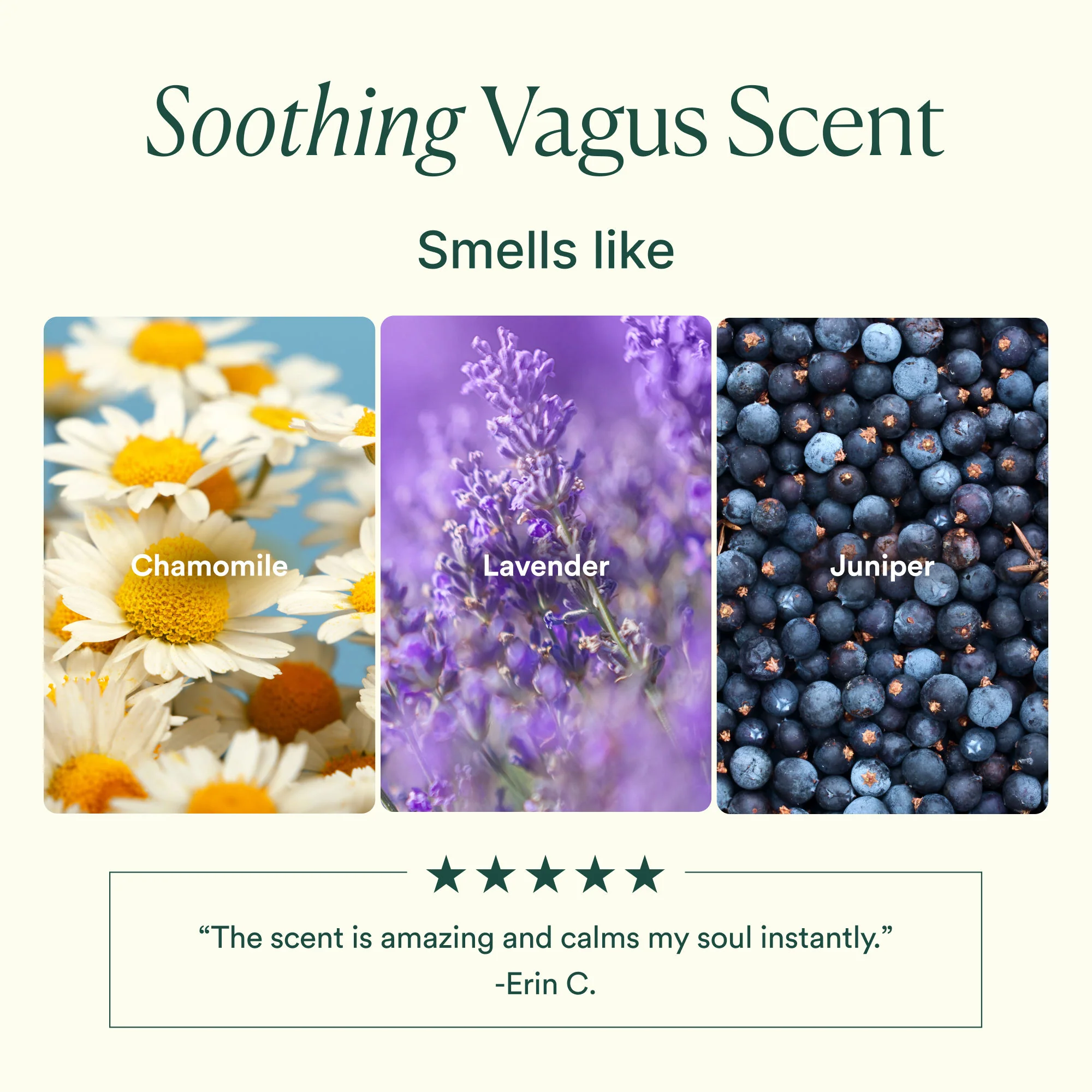 Vagus Nerve Bath Oil - Image 8
