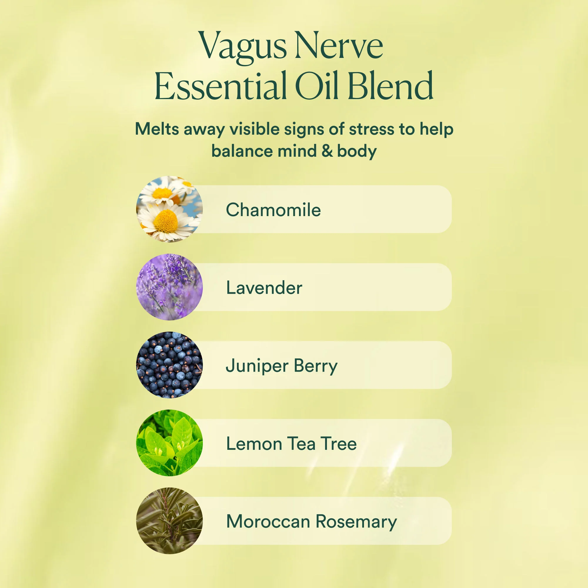 Vagus Nerve Oil - Image 9