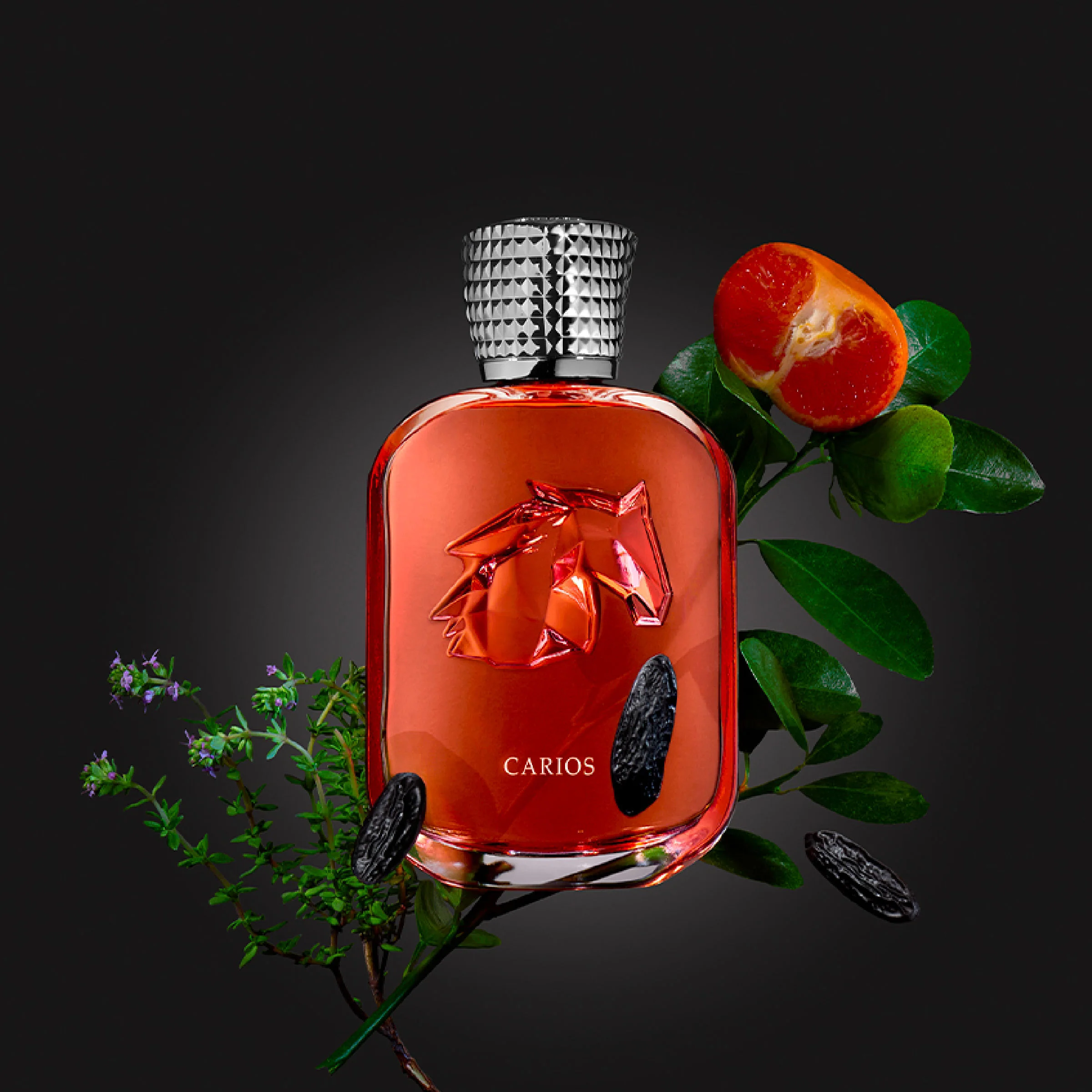 Carios Extrait de Parfum - Image 4