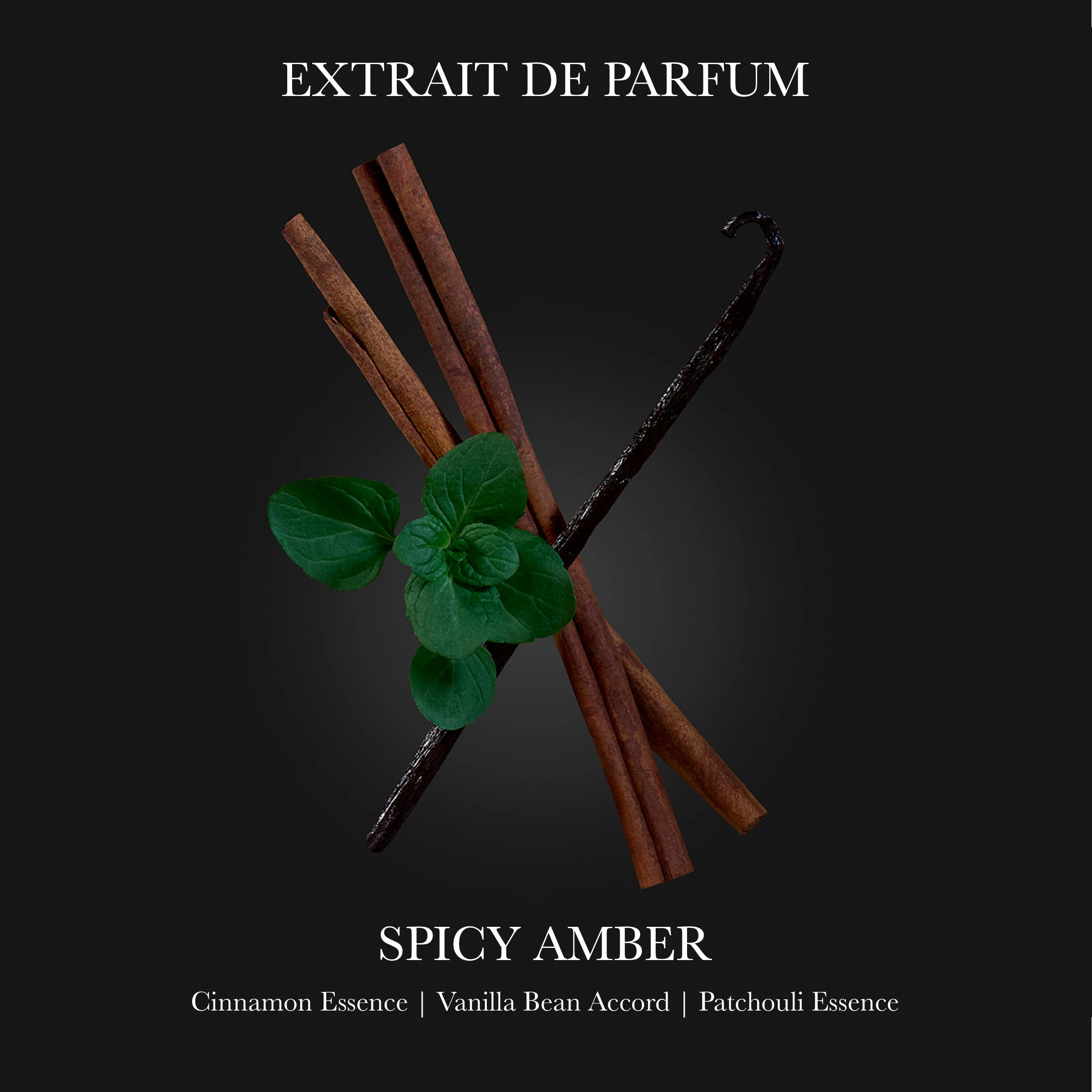 Eragon Extrait de Parfum - Image 6