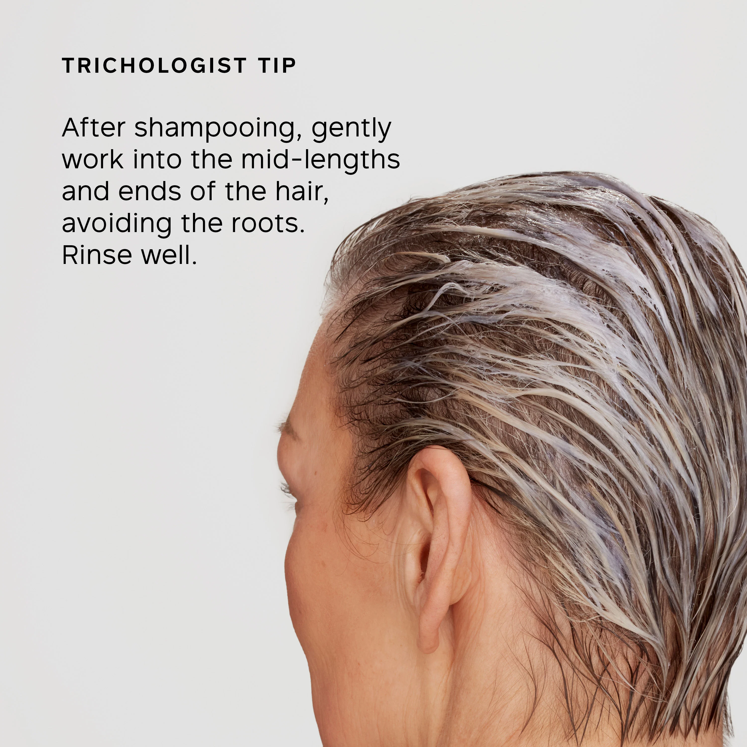 Pure Blonde/Silver Brightening Daily Conditioner - Image 7