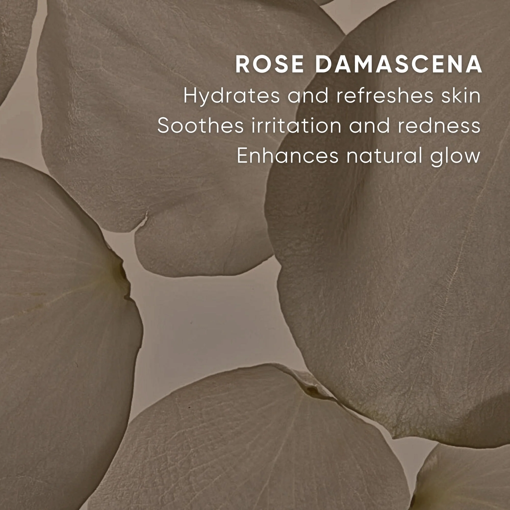 Replenishing Essence - Image 9