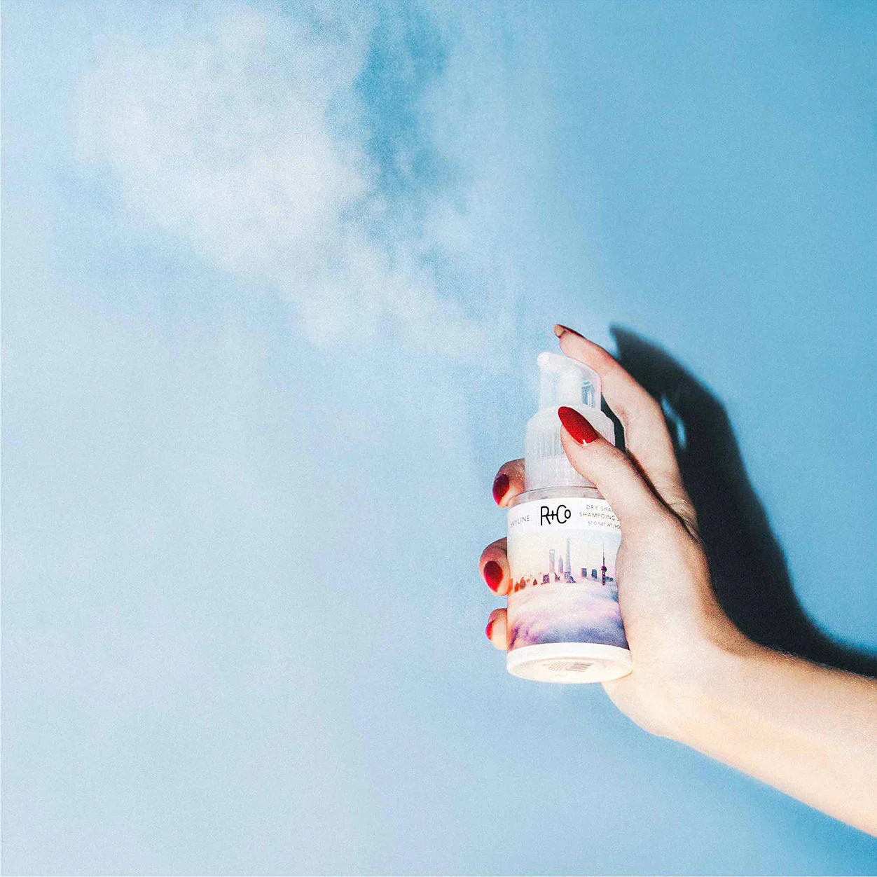 Skyline Dry Shampoo Powder - Image 3