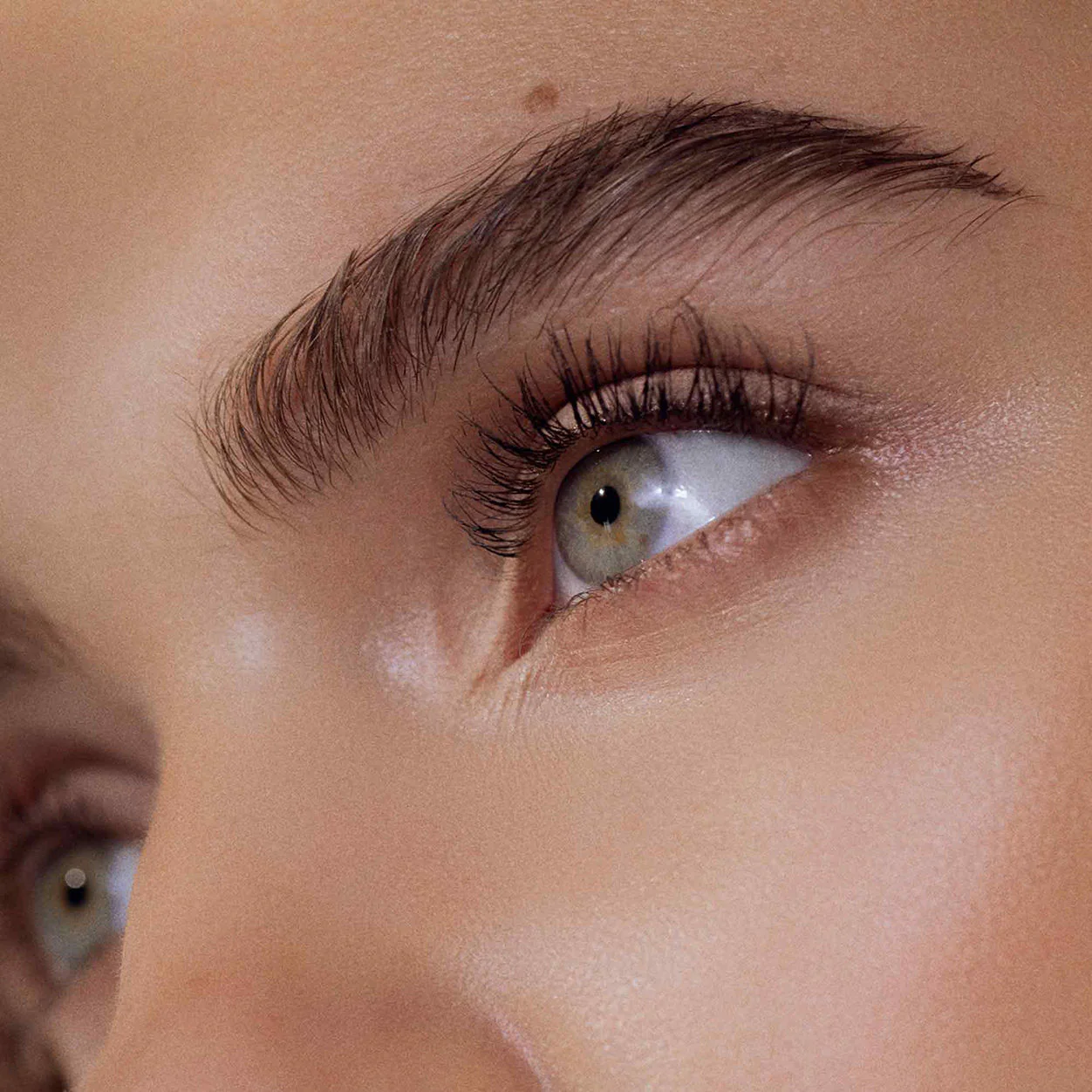 Revitabrow Advanced Eyebrow Conditioner - Image 7