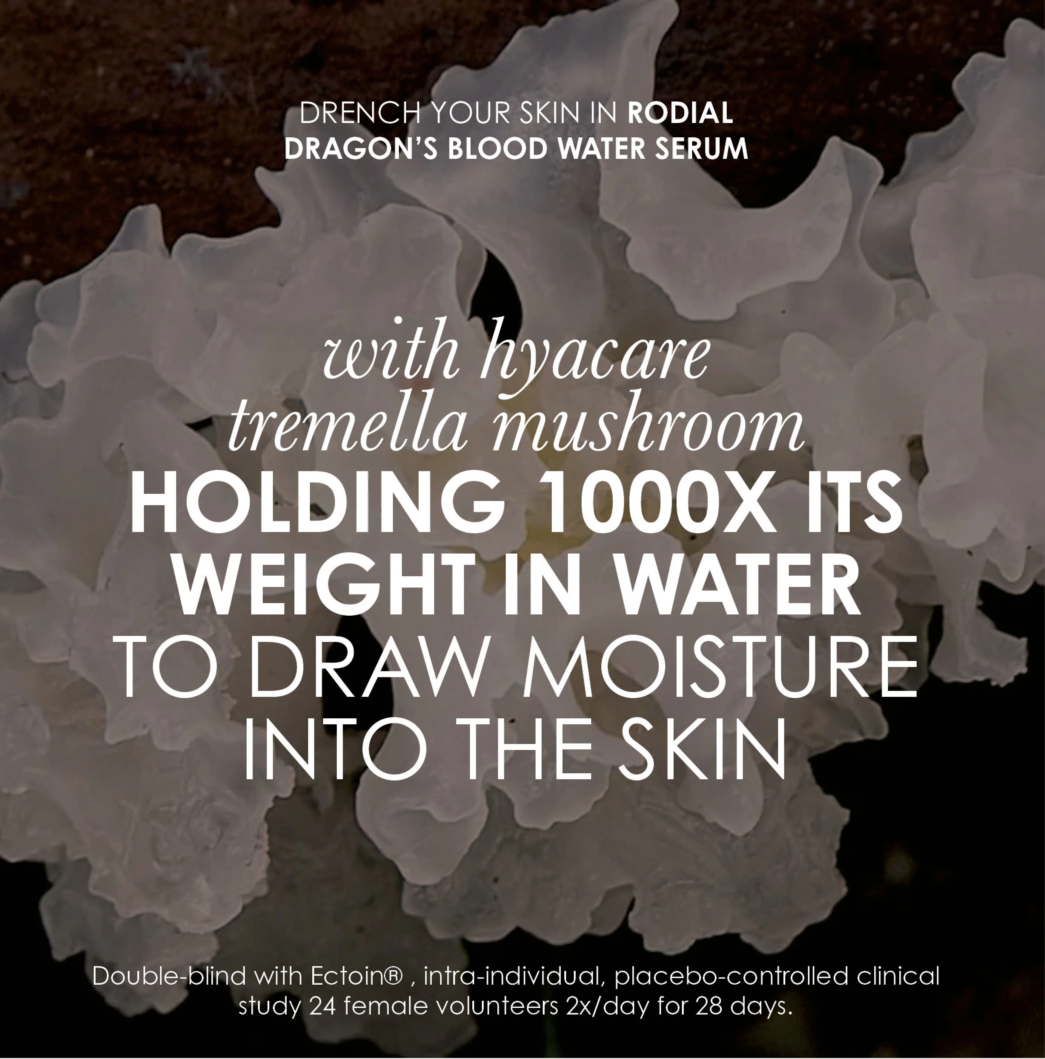 Dragon's Blood Water Serum - Image 5