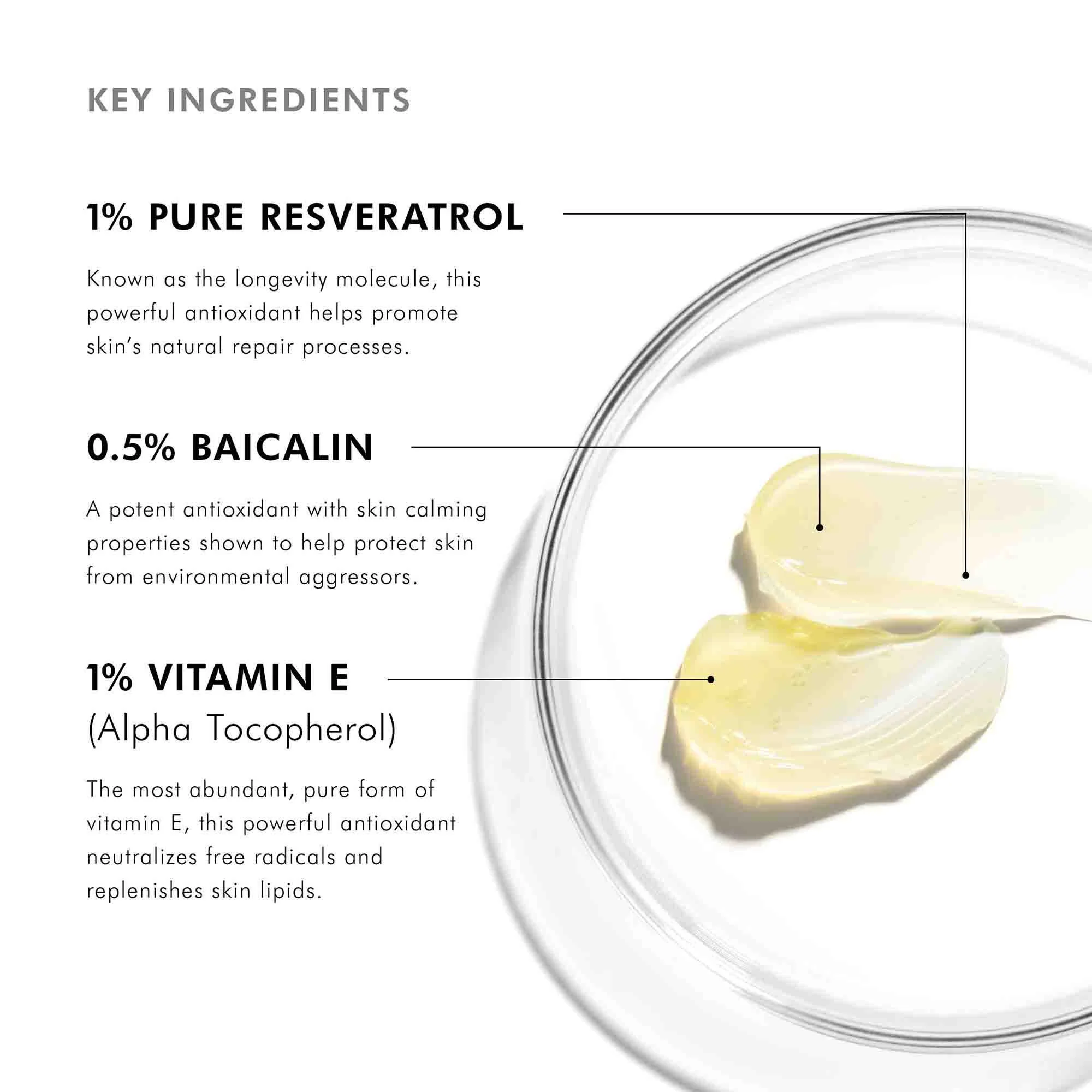 Resveratrol BE - Image 4