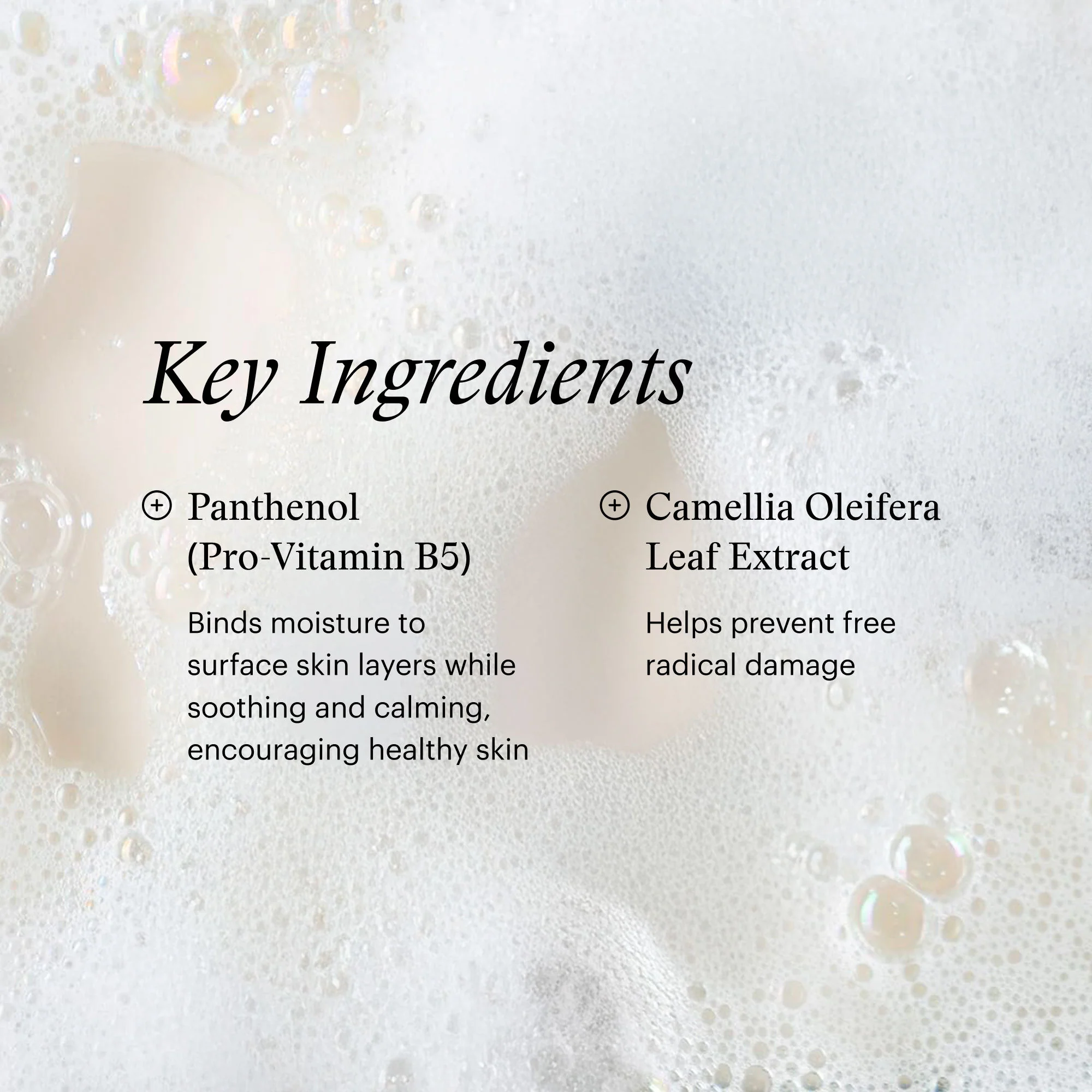 Facial Cleanser - Image 7