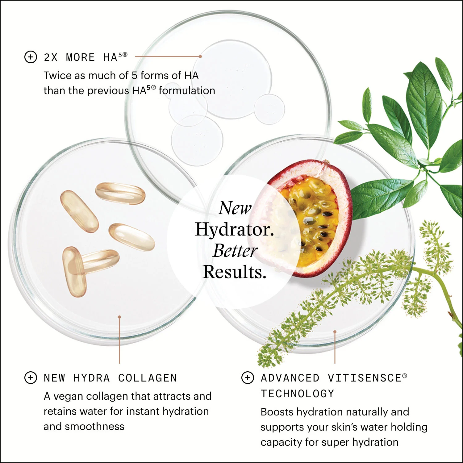 HA⁵ Hydra Collagen Hydrator with Vegan Collagen - Image 7