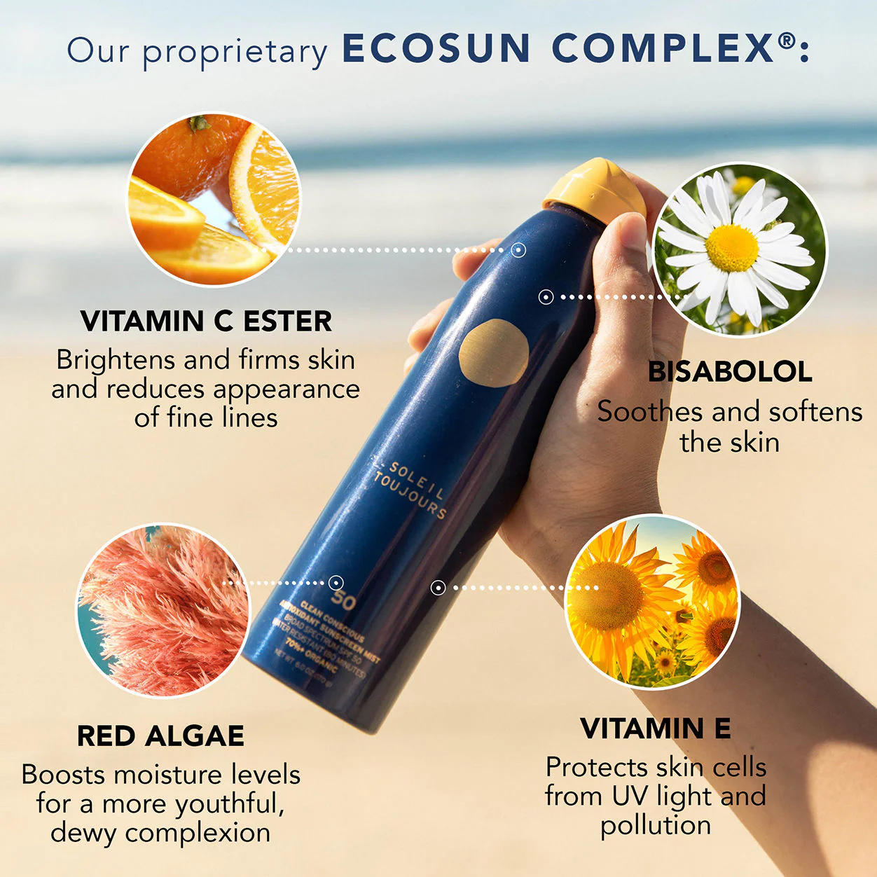 Clean Conscious Antioxidant Sunscreen Mist SPF 30 - Image 4