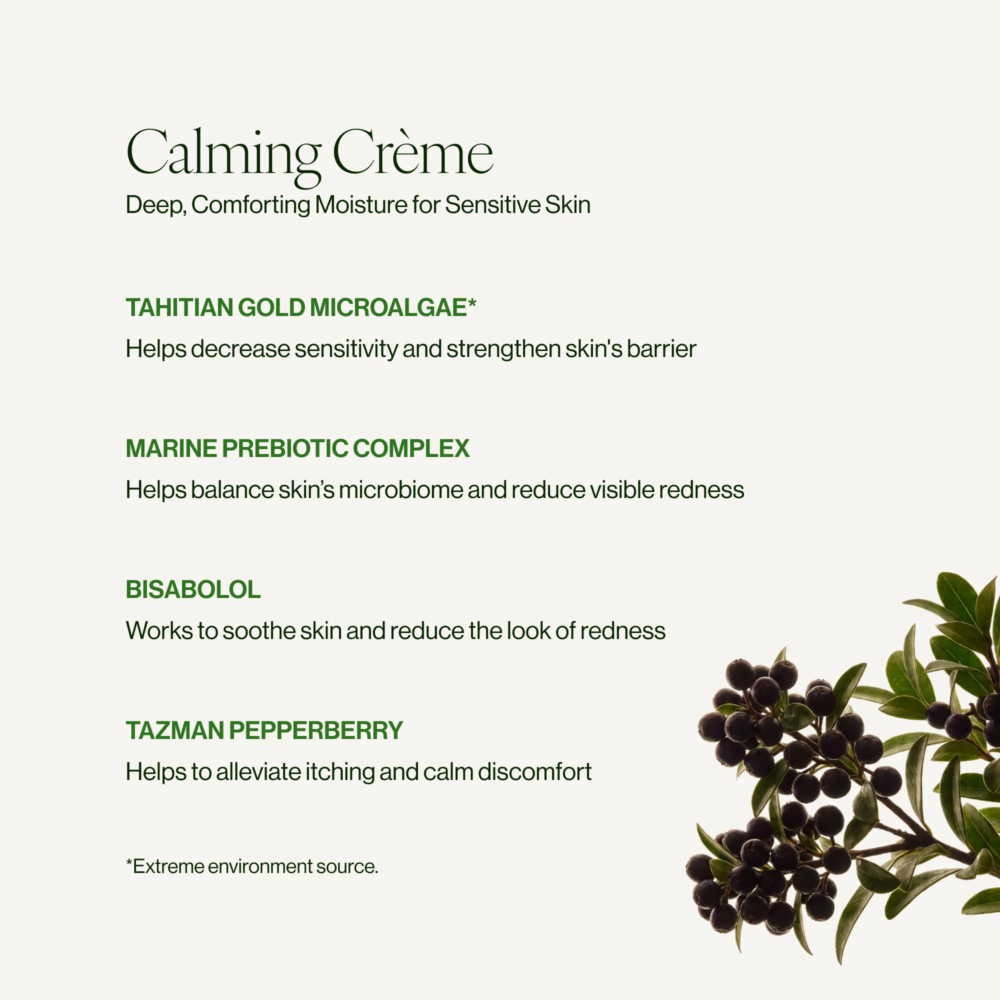 Calming Crème - Image 11