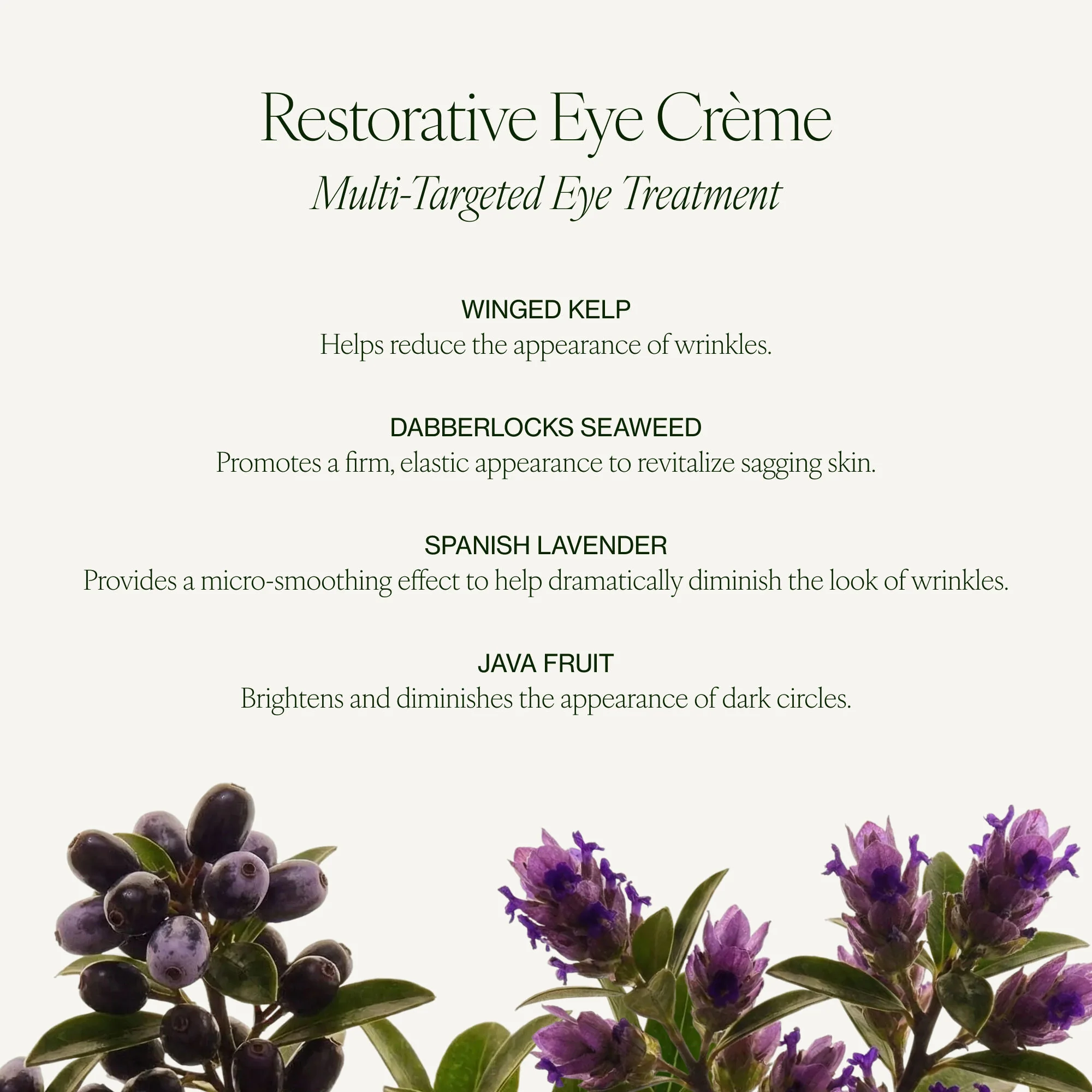 Restorative Eye Creme Starter Kit - Image 10