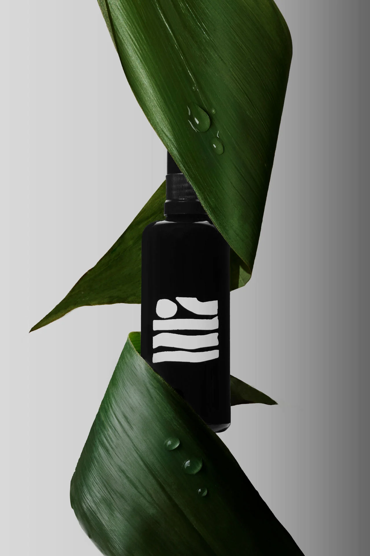 Amuse Bouche Balancing Facial Mist - Image 4