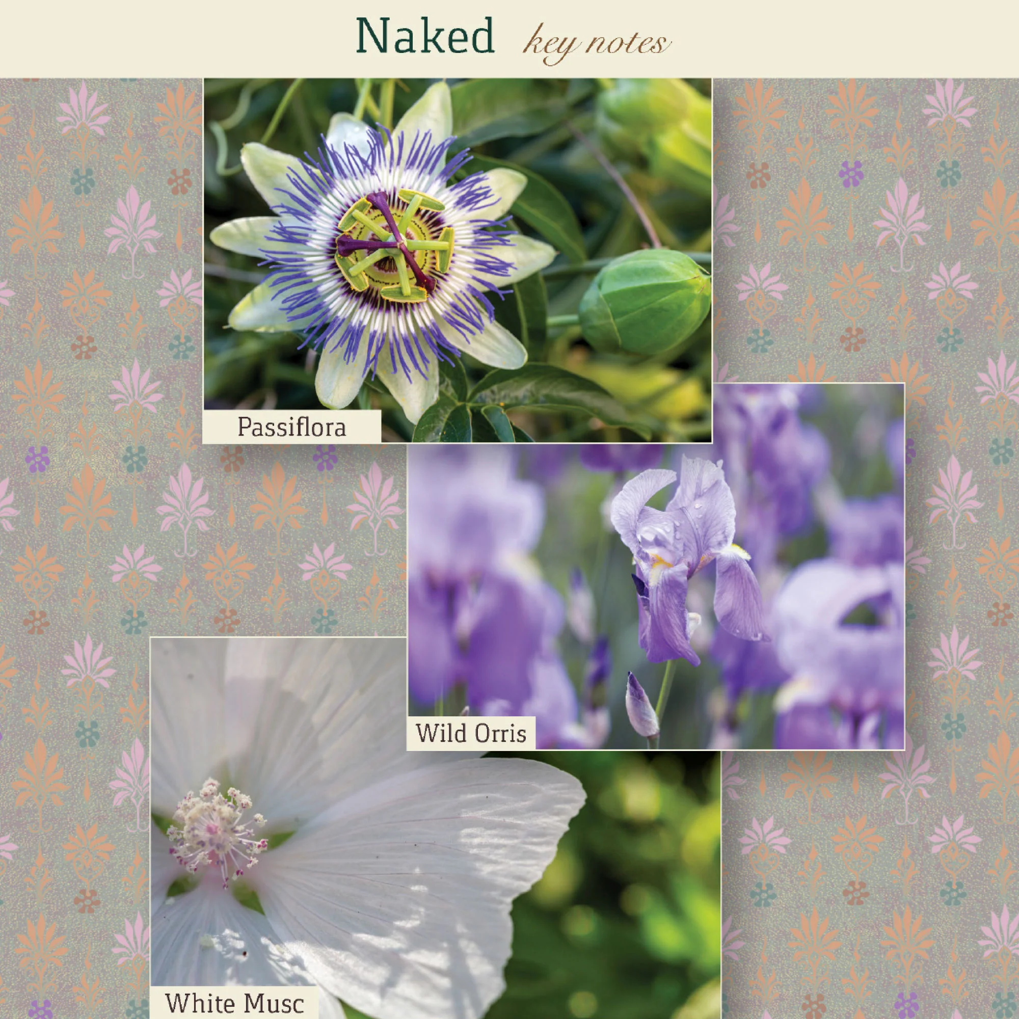 Naked Eau de Parfum - Image 6
