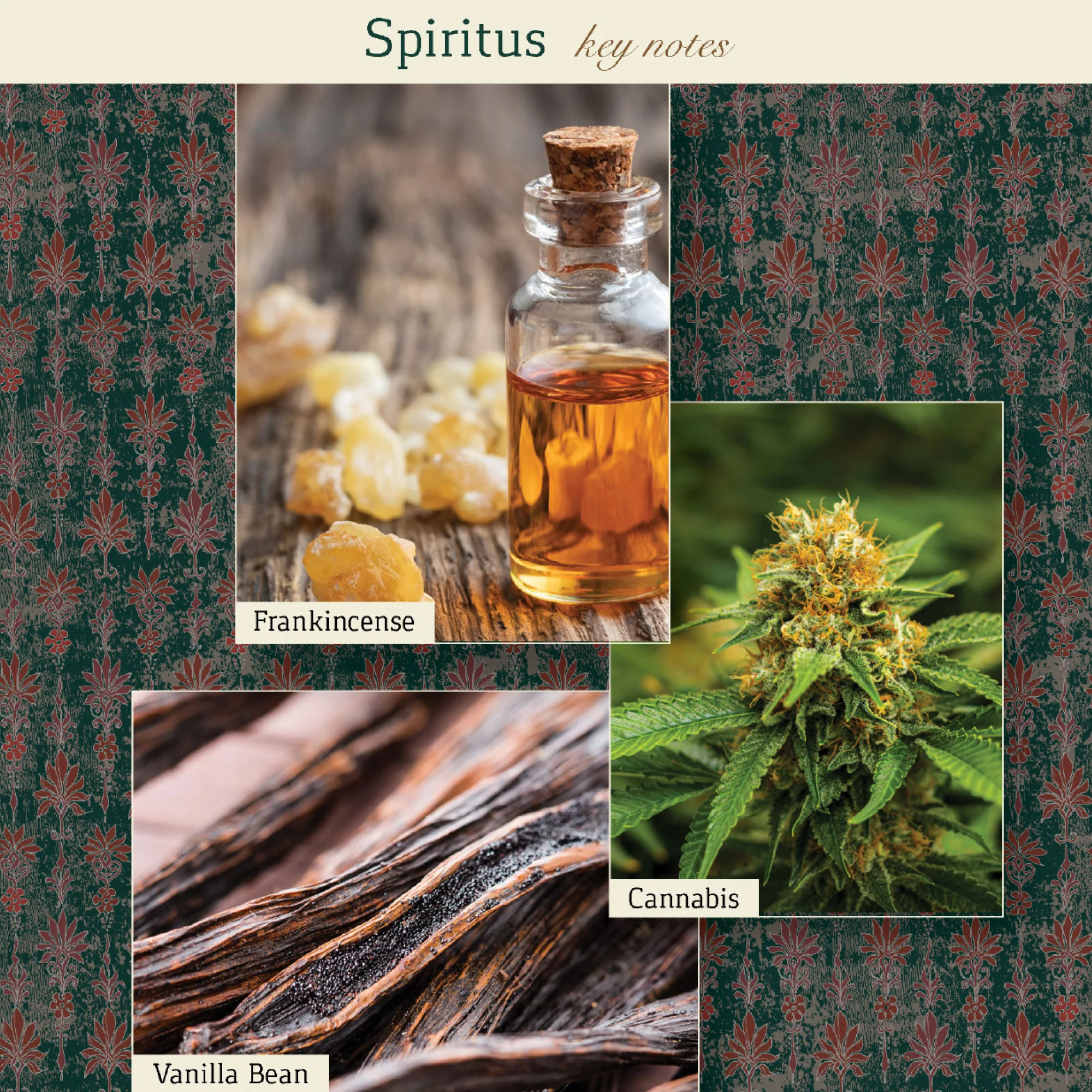 Spiritus Candle - Image 6