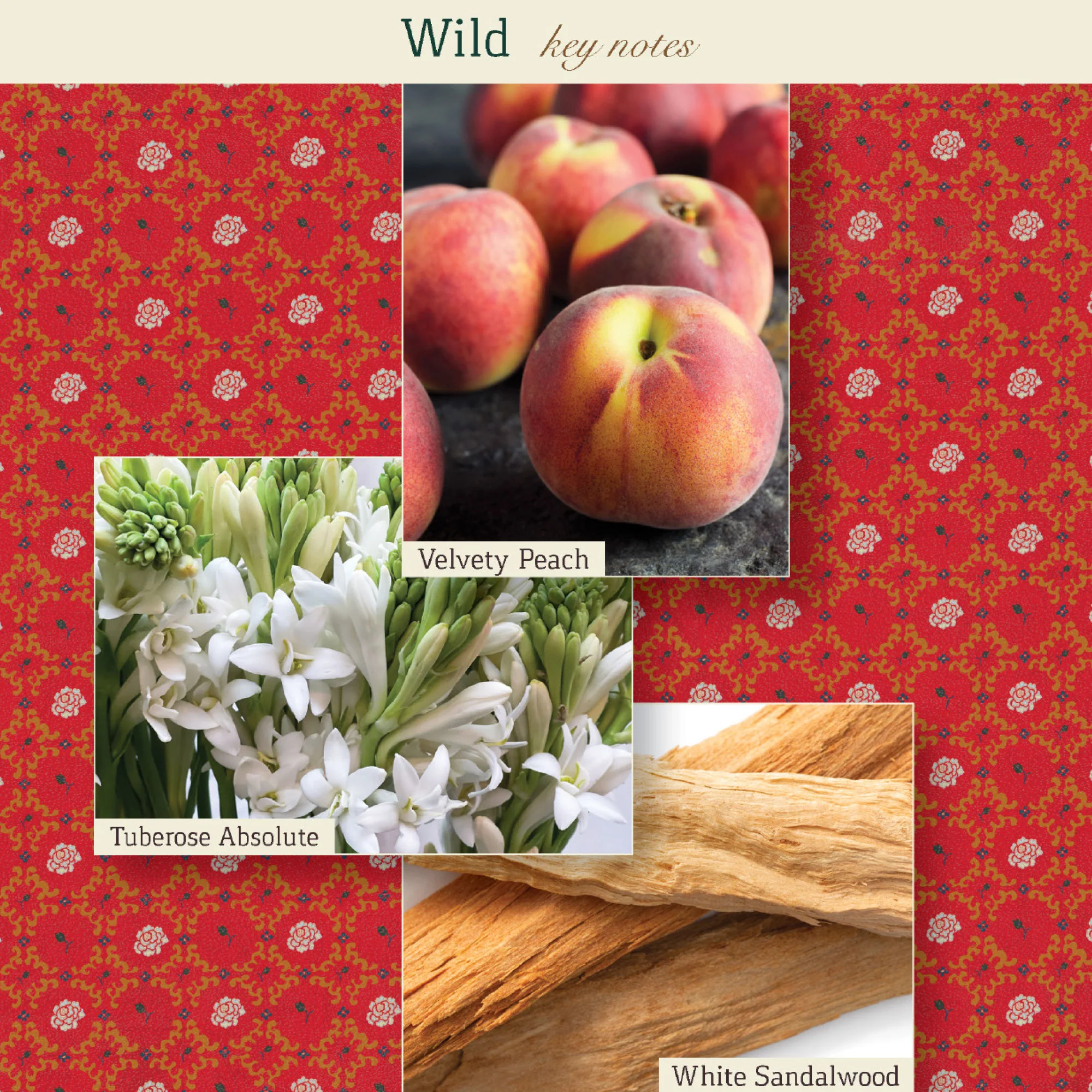 Wild Eau de Parfum - Image 6