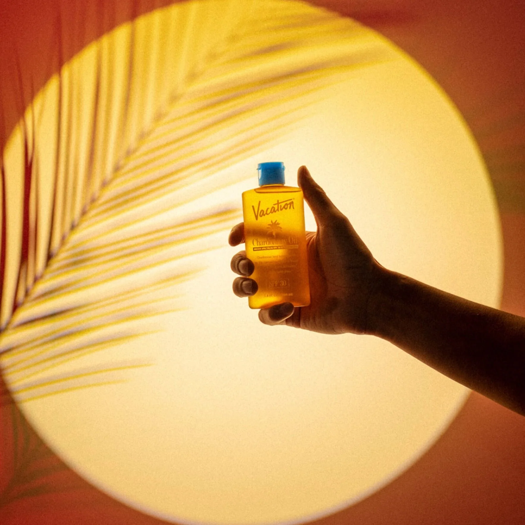 Chardonnay Oil SPF 30 - Image 4