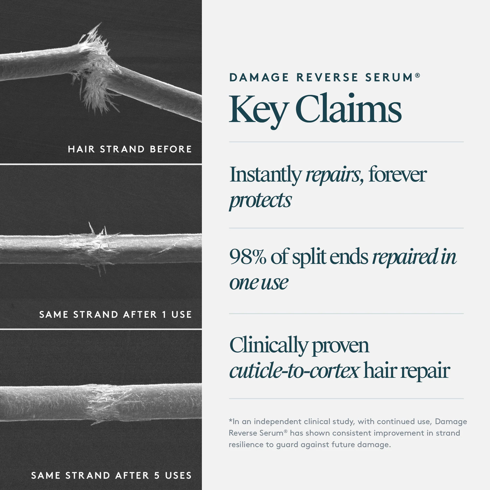 Damage Reverse Serum - Image 11