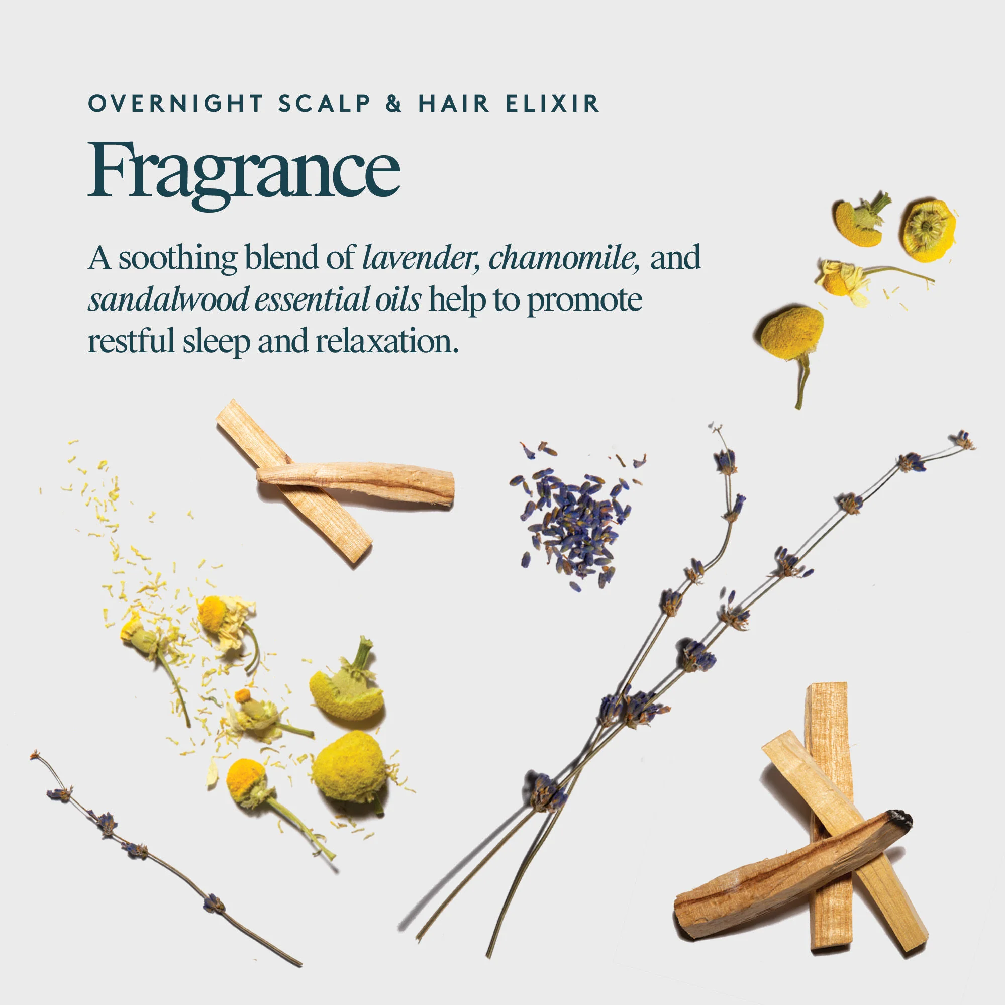 Overnight Scalp & Hair Elixir - Image 6