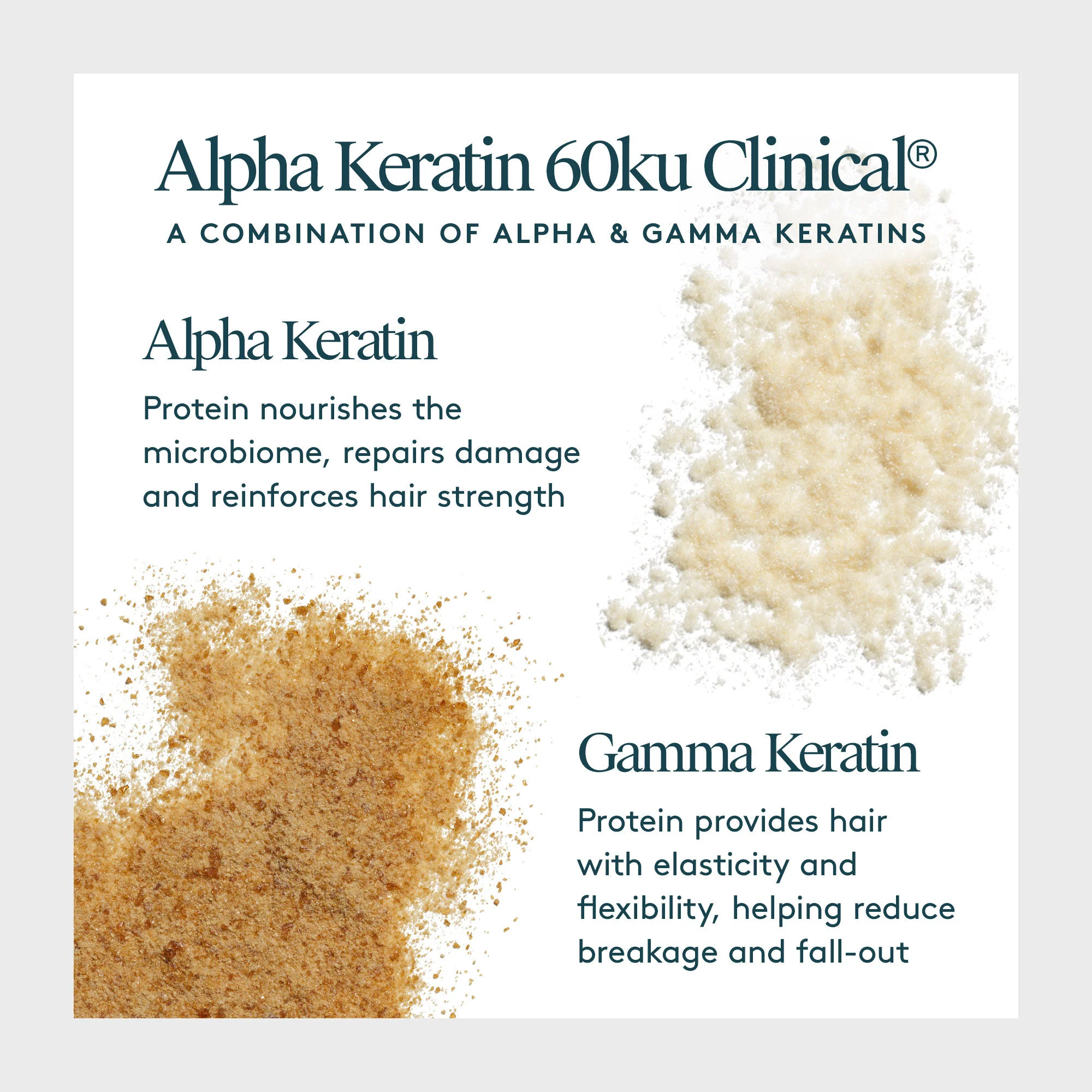 Scalp Remedy Shampoo for Scalp and Hair Health - Image 10