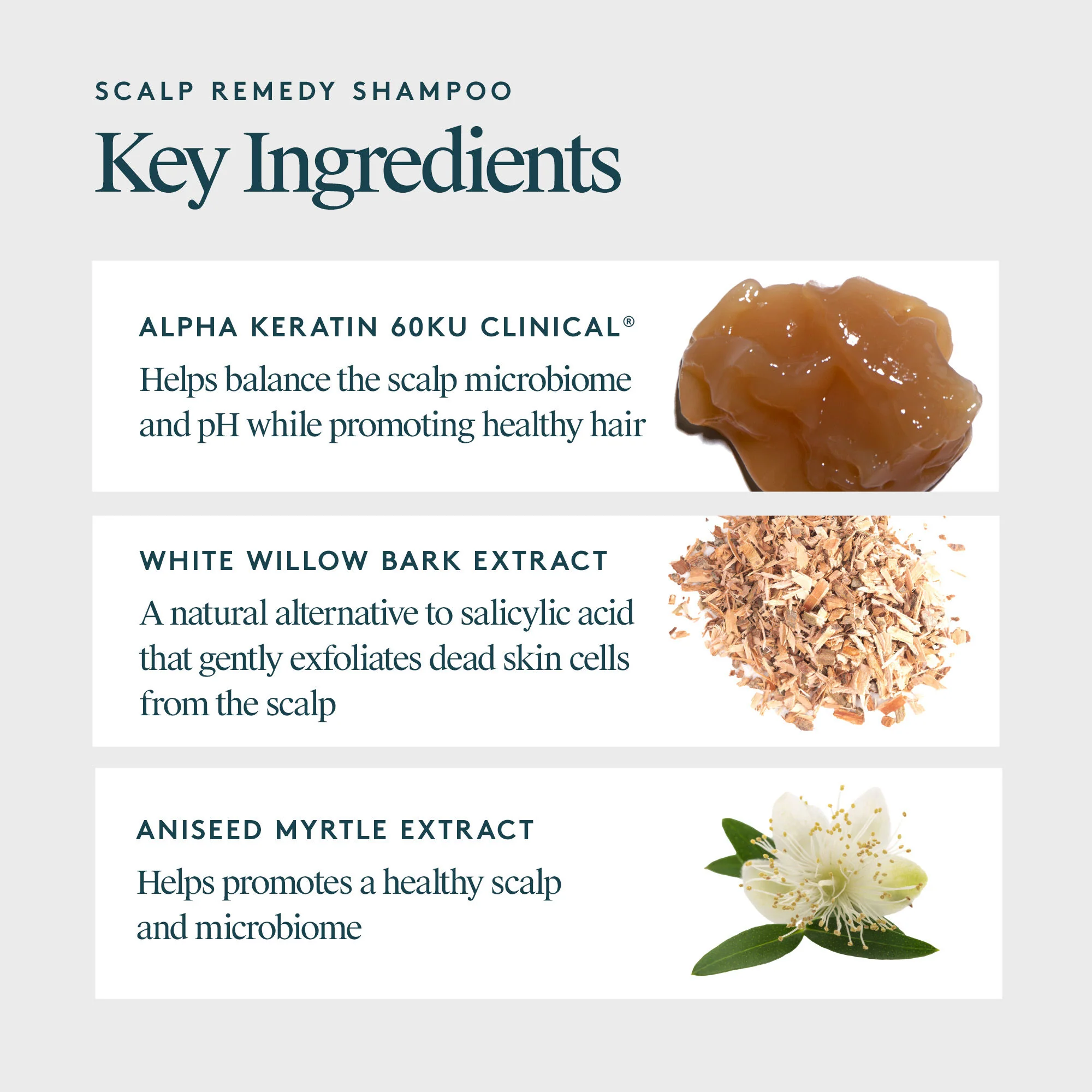 Scalp Remedy Shampoo for Scalp and Hair Health - Image 8