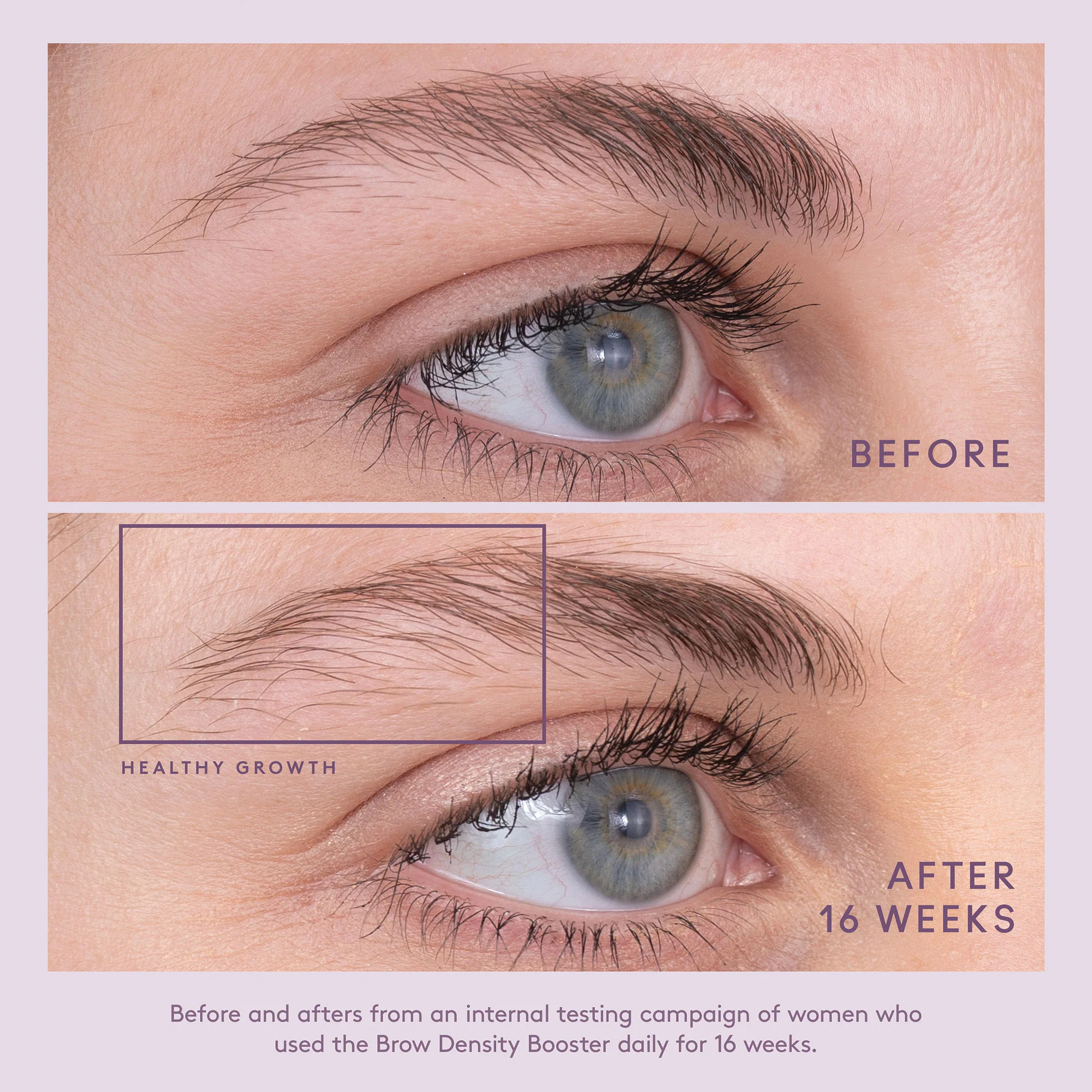 Flourish Brow Density Booster - Image 6