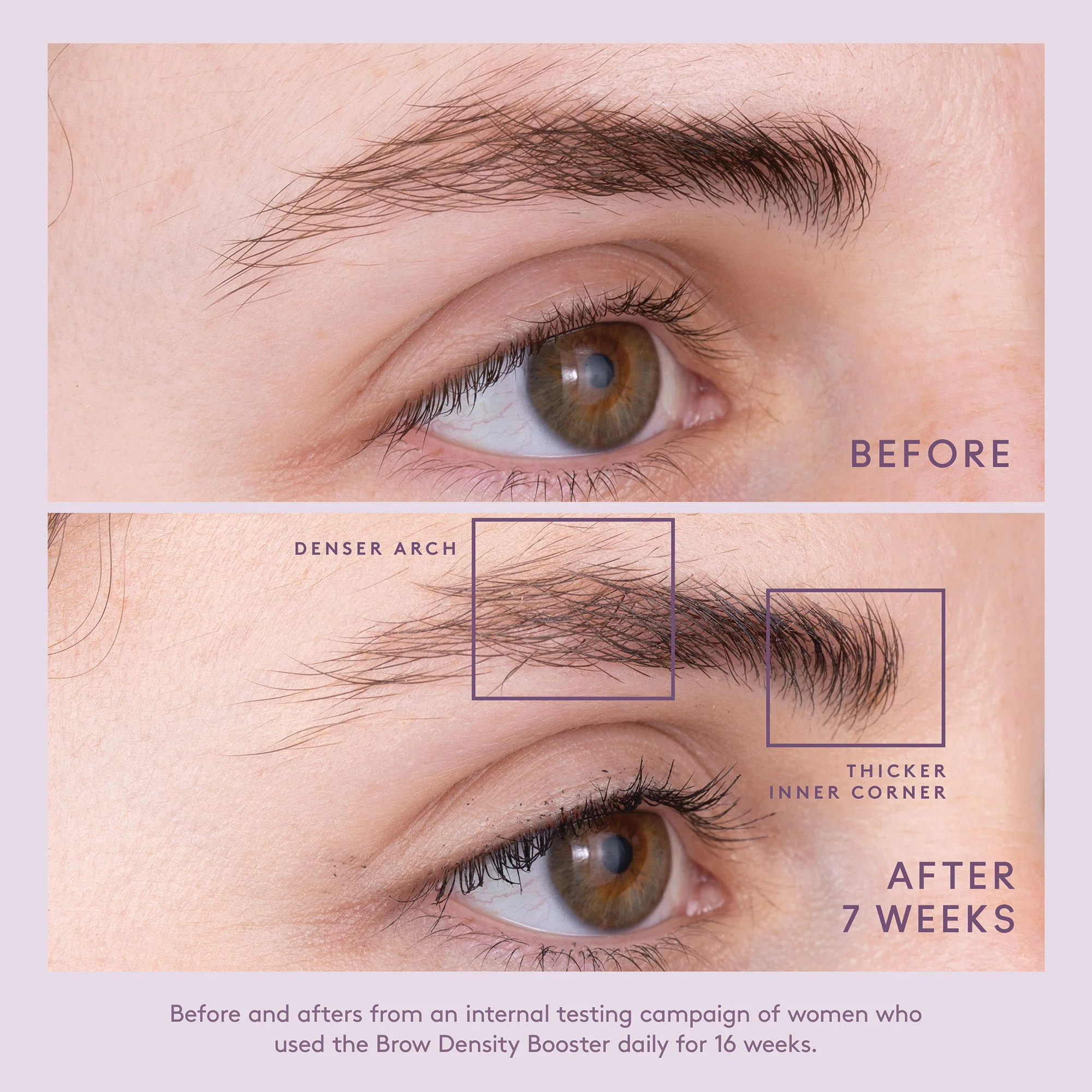 Flourish Brow Density Booster - Image 7